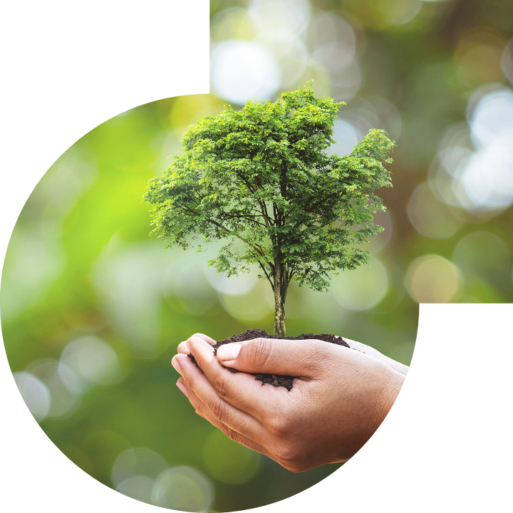 关怀人类、文化、环境与社会